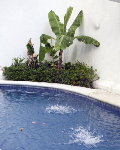 El Hotelito Акапулко Екстериор снимка